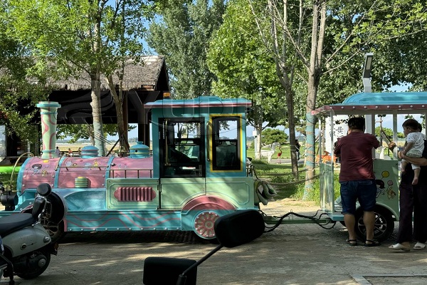 sightseeing train ride in scenic spots